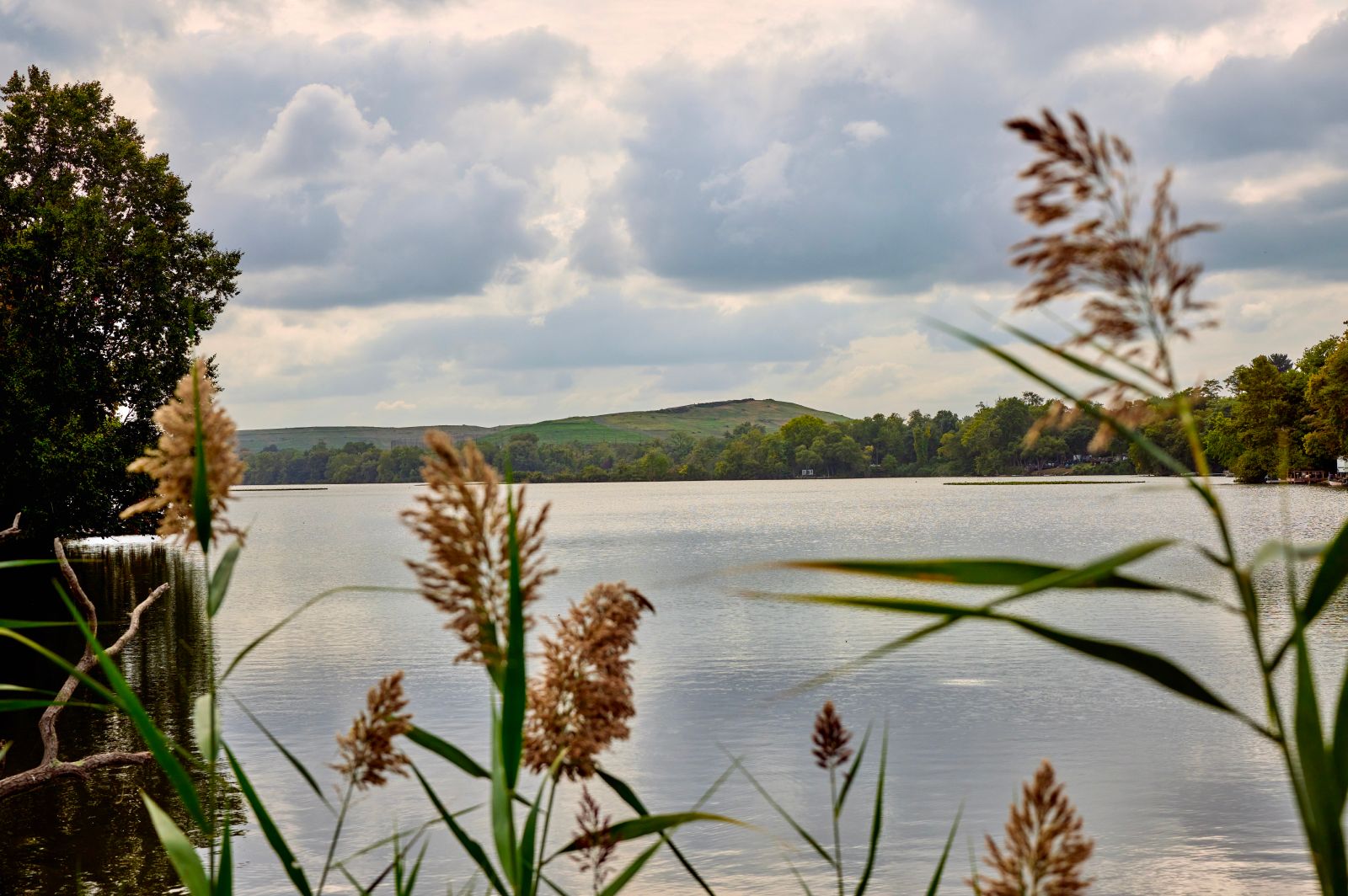  Managing Our Climate Impact
