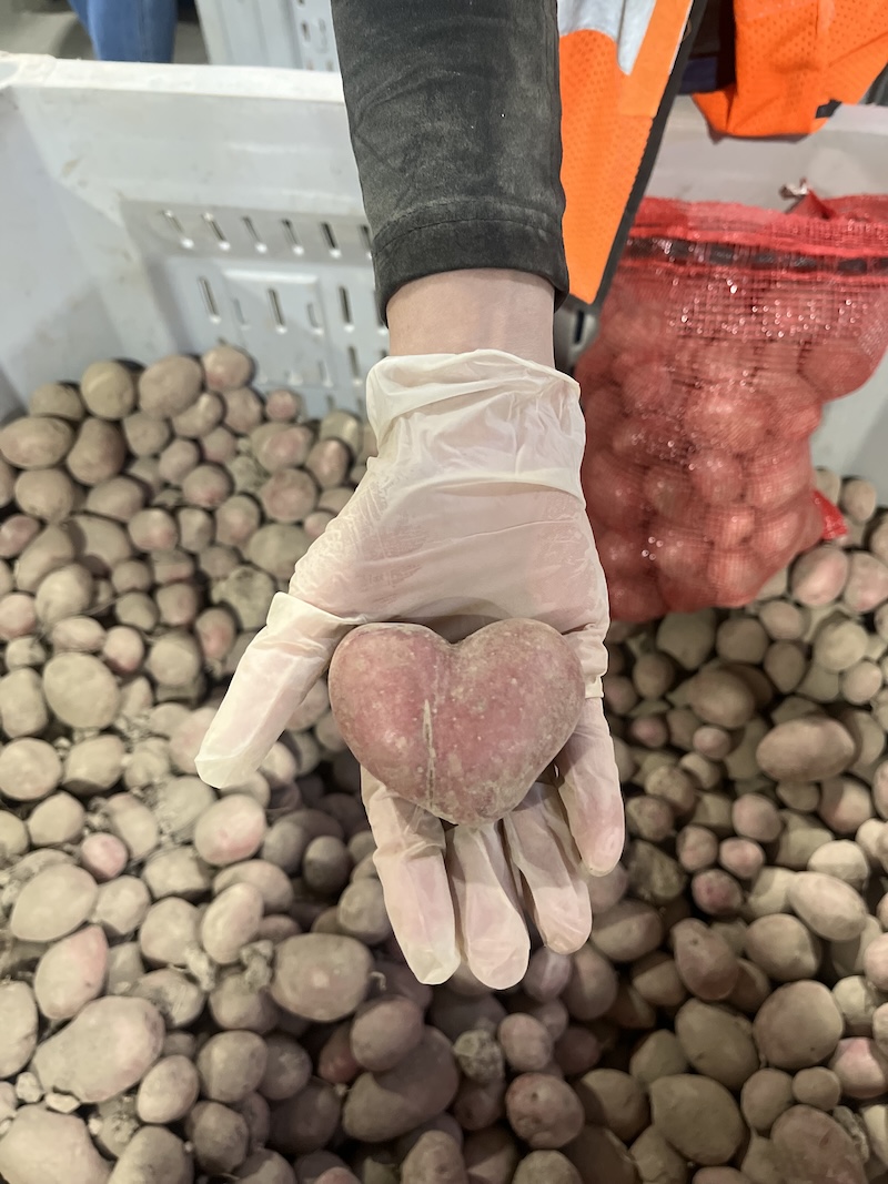 Feeding Communities