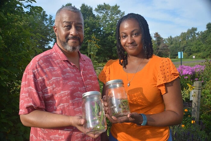 Two people holding caterpillars in jars as part of pollinator conservation initiative